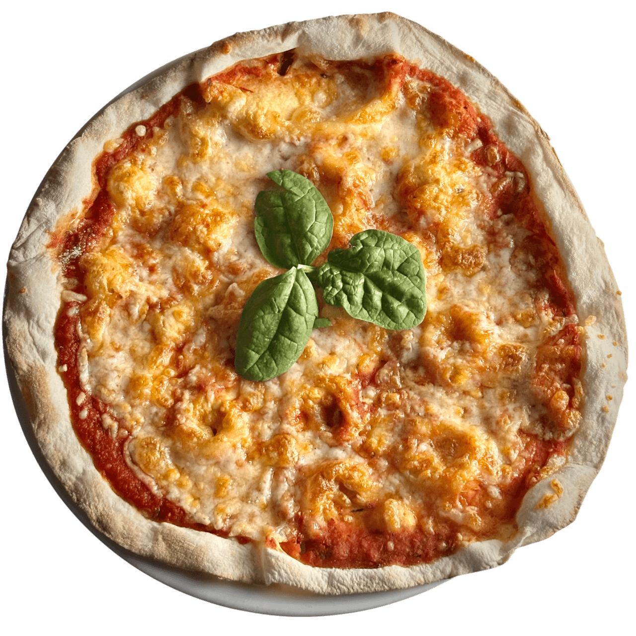 Pizza Margarita